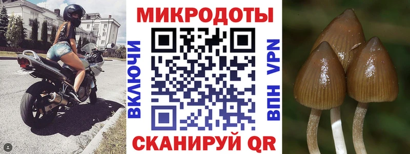 Псилоцибиновые грибы прущие грибы  Купить где  Демидов 